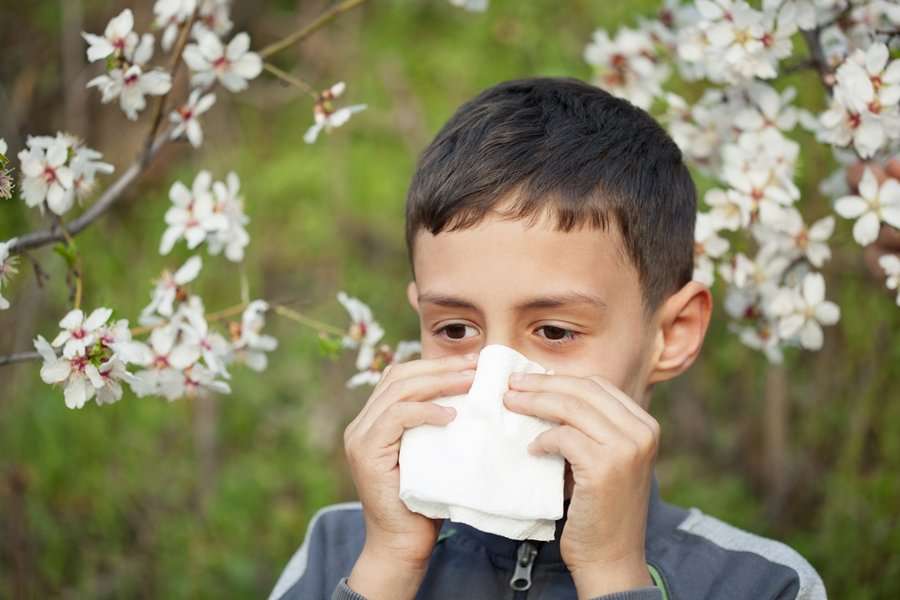 How Do You Get Allergies?
