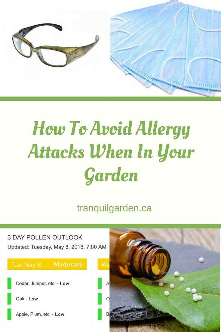 How To Avoid Allergy Attacks When In Your Garden