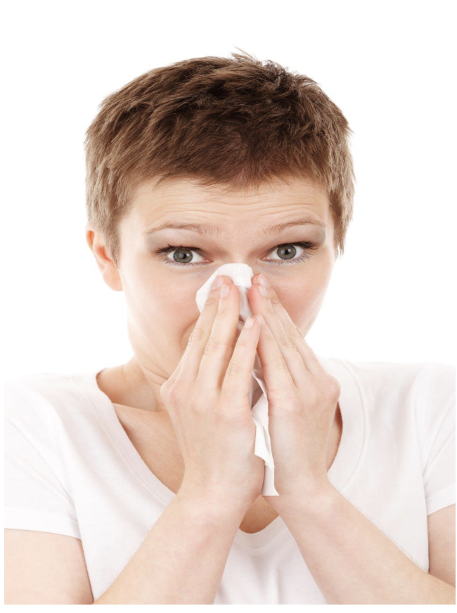 How To Combat Allergies This Season