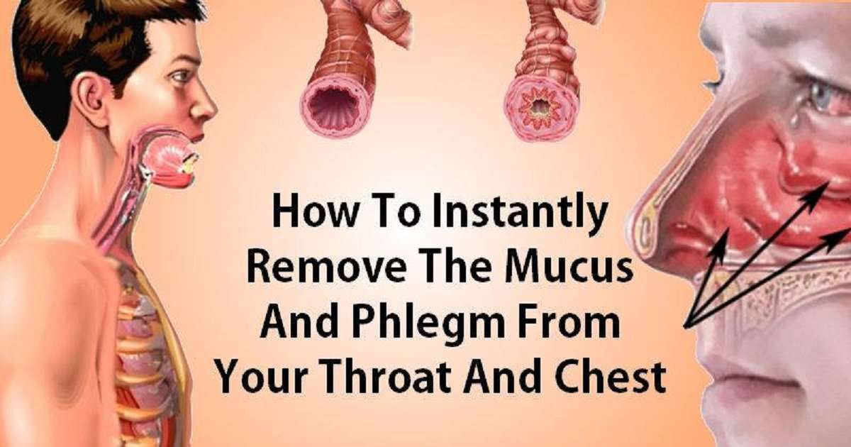 How to Eliminate Mucus and Phlegm from the Throat and ...