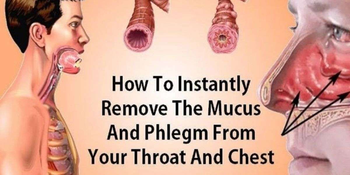 How To Eliminate Mucus And Phlegm From Your Throat And ...