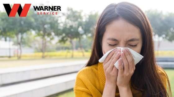 How To Finally Get Rid Of Pesky Allergens And Pathogens
