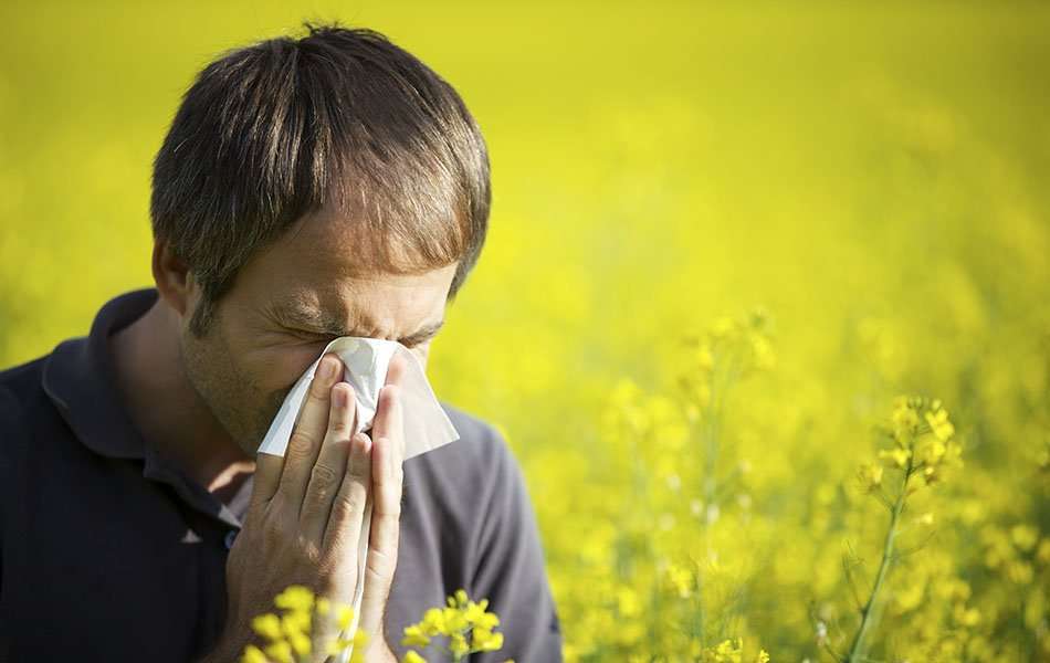 How To Get Rid Of Allergies  15 Ways For Getting Rid Of ...