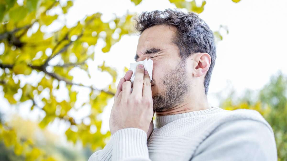 How to Get Rid of Allergies, According to the Experts ...