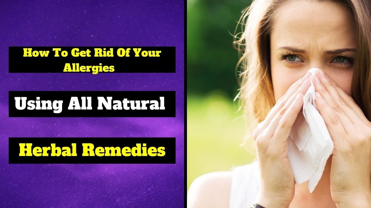 How To Get Rid Of Your Allergies Using All Natural Herbal ...