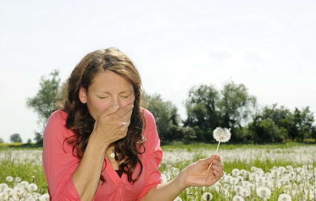 How to Keep Your Allergies Under Control