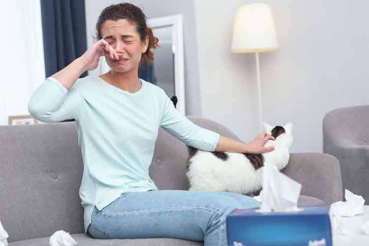 How to Reduce Indoor Allergies