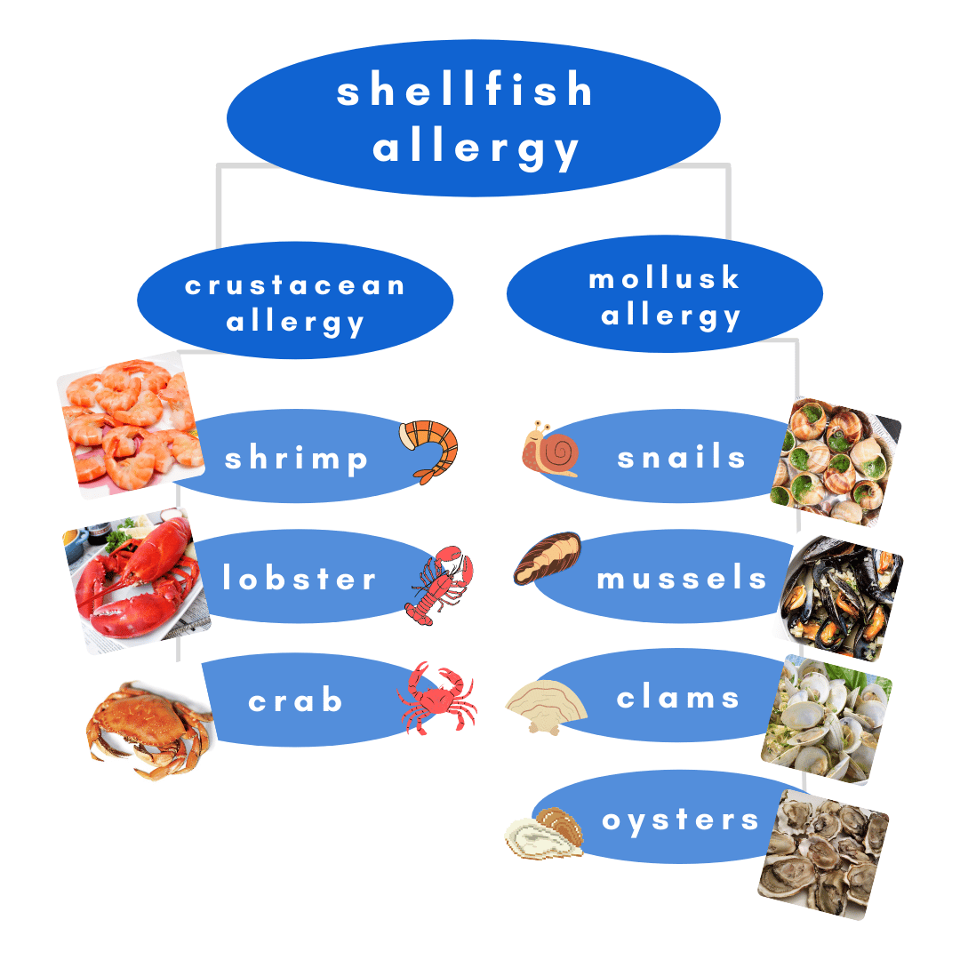 How To Treat A Seafood Allergic Reaction