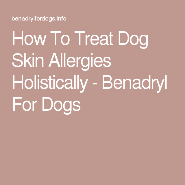 How To Treat Dog Skin Allergies Holistically