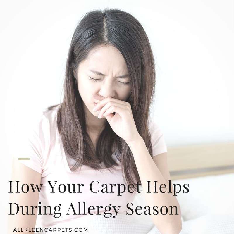 How Your Carpet Helps During Allergy Season