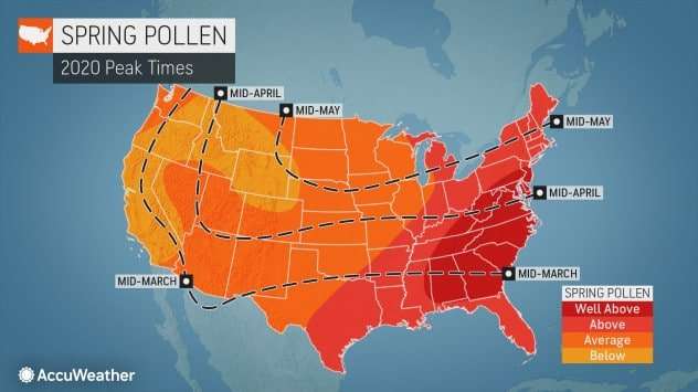 Huge portion of country to face brutal allergy season this ...