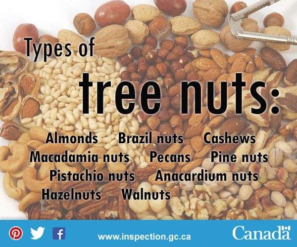 If you or someone you know has a tree nut allergy, look out for these ...