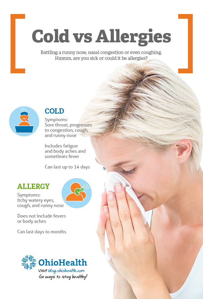 Infographic: Is it a Cold or Allergies