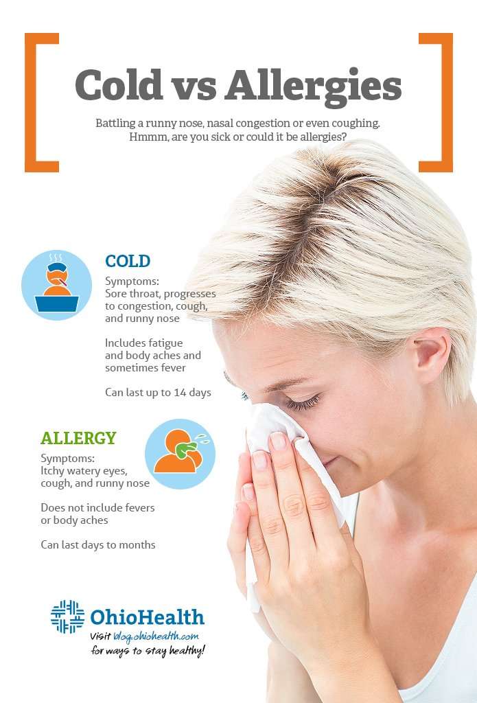 Infographic: Is it a Cold or Allergies?