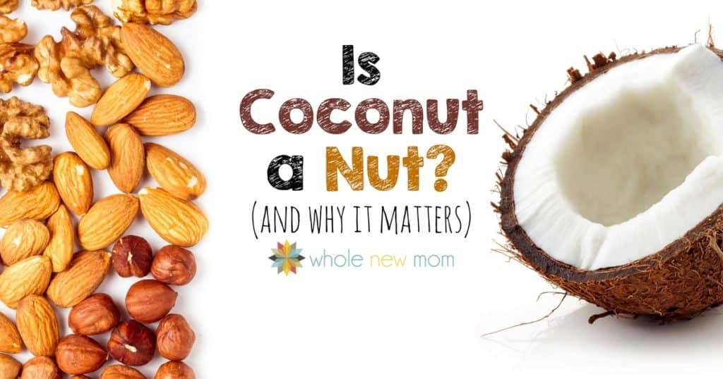 Is Coconut a Nut? {And Why Does It Matter?}