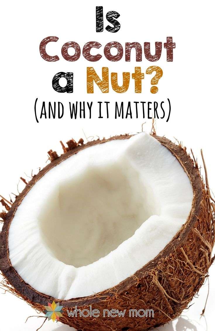 Is Coconut a Nut? Find out the Truth!