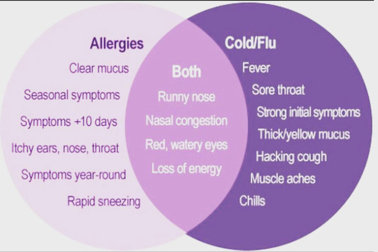 Is it allergies or a cold? â root & stem
