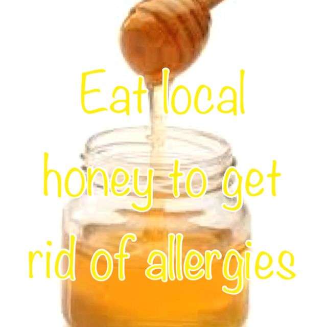 Is Local Honey Better For Allergies