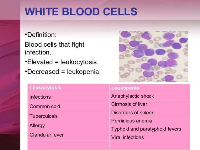 Liver Disease High White Blood Cell Count