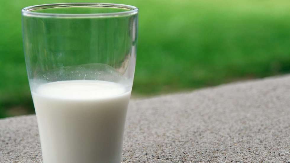 Milk allergy more common in kids, study says