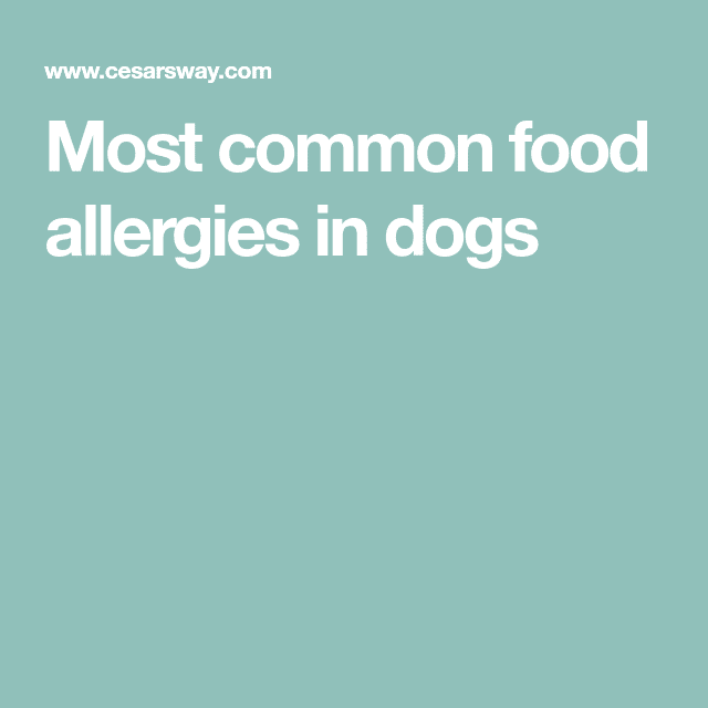 Most common food allergies in dogs