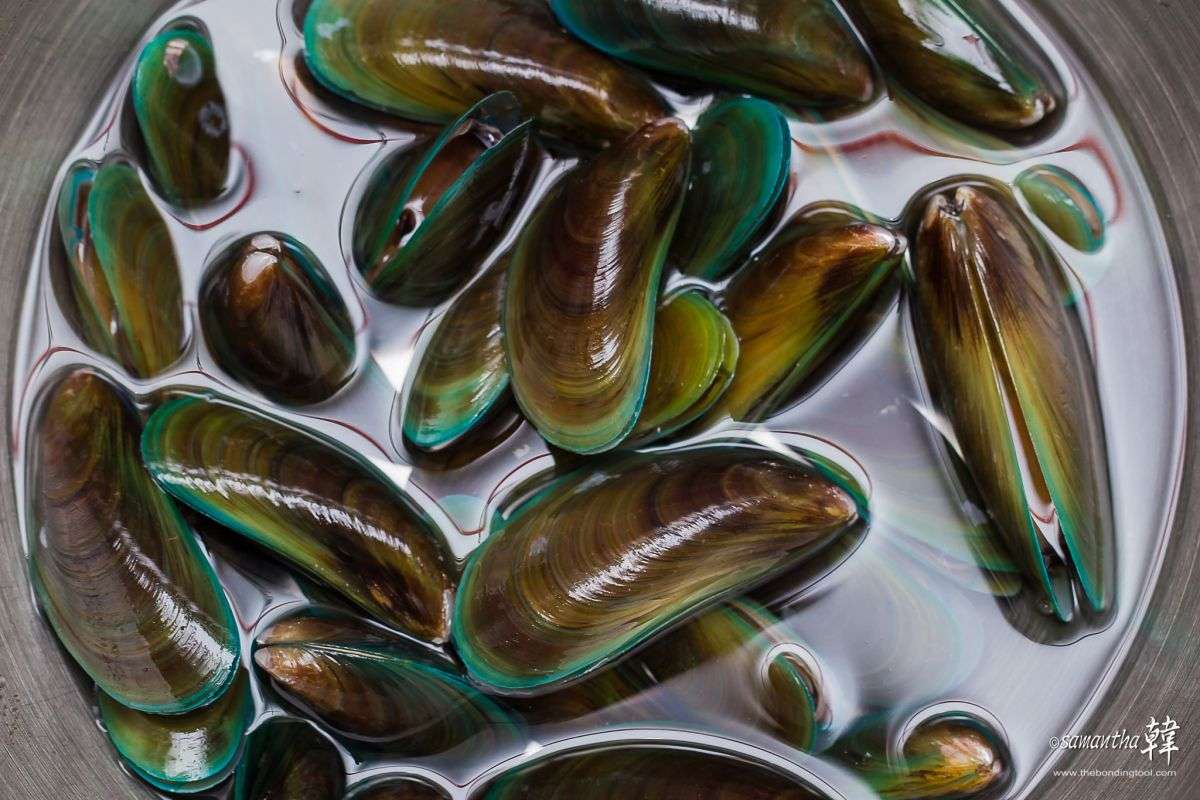 Mussels are cheap, fast to cook and simply delicious! For ...