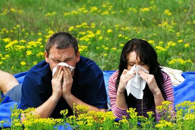 My Allergies Are Acting Up, What Should I Do?