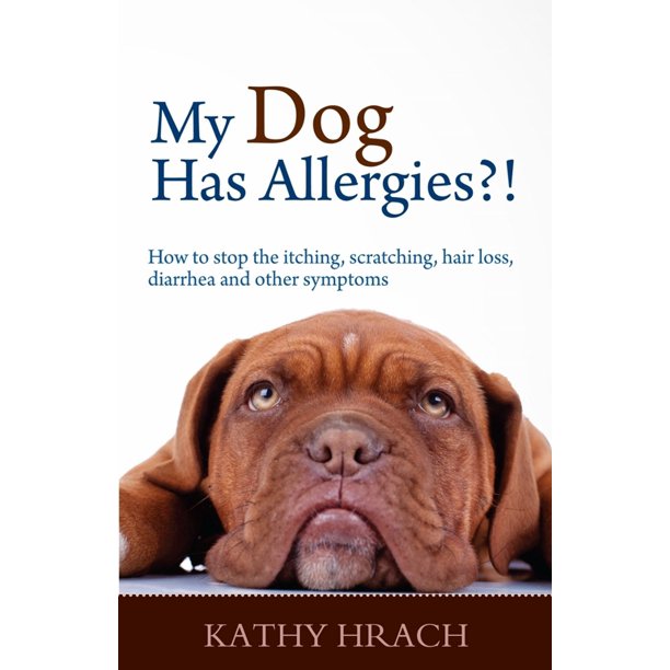My Dog Has Allergies?! How to Stop the Itching, Scratching, Hair Loss ...