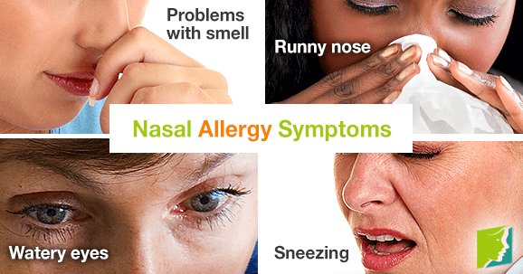 Nasal Allergy Symptoms