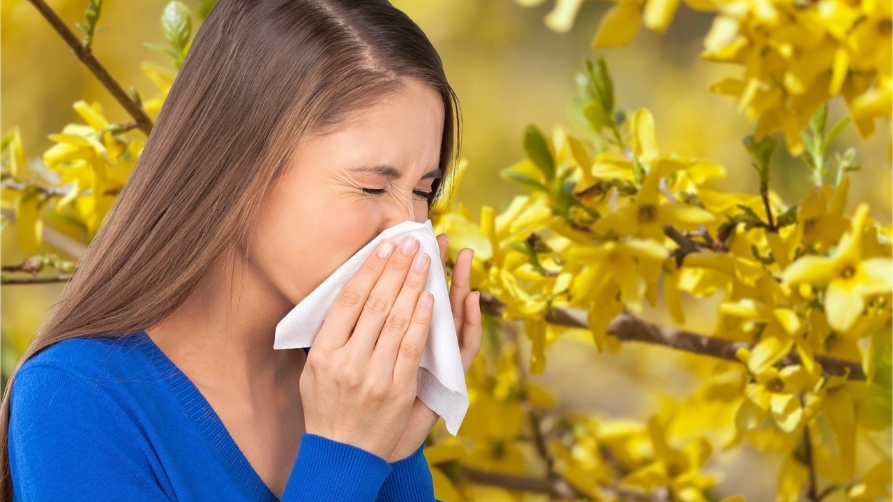 Natural Relief for Seasonal Allergies