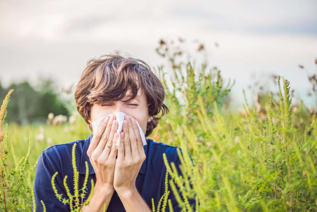 Natural Treatment Remedies for Seasonal Allergies