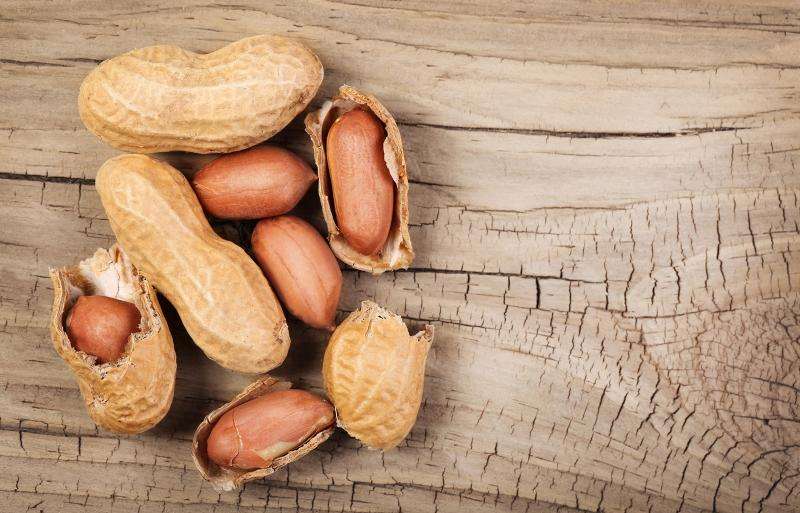 Oral immunotherapy for peanut allergy in Singaporean kids ...