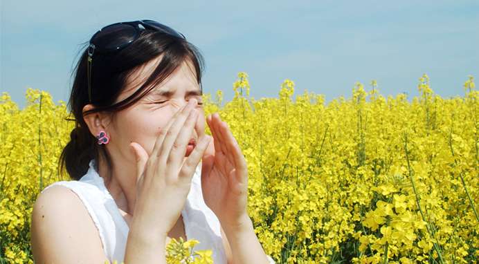 Overlapping allergy seasons cause