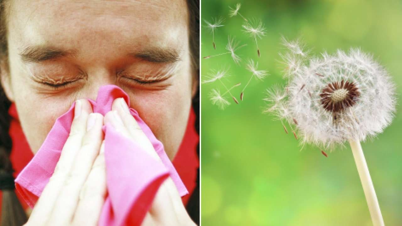 Peak Allergy Season 2018: How to Prepare and Prevent ...
