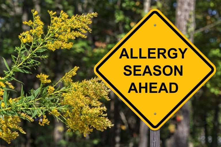 Peak Allergy Season in Virginia: 5 Ways to Cope â W. G. Speeks