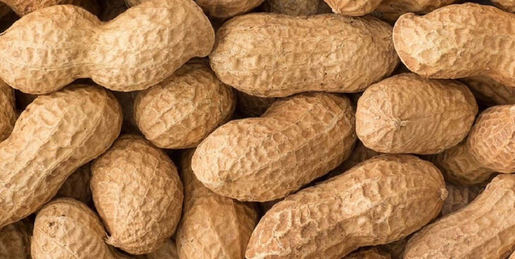 Peanut Allergies for Kids and Teens: What You Should Know ...