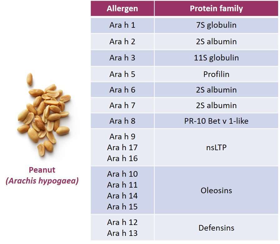Peanut and tree nut allergies