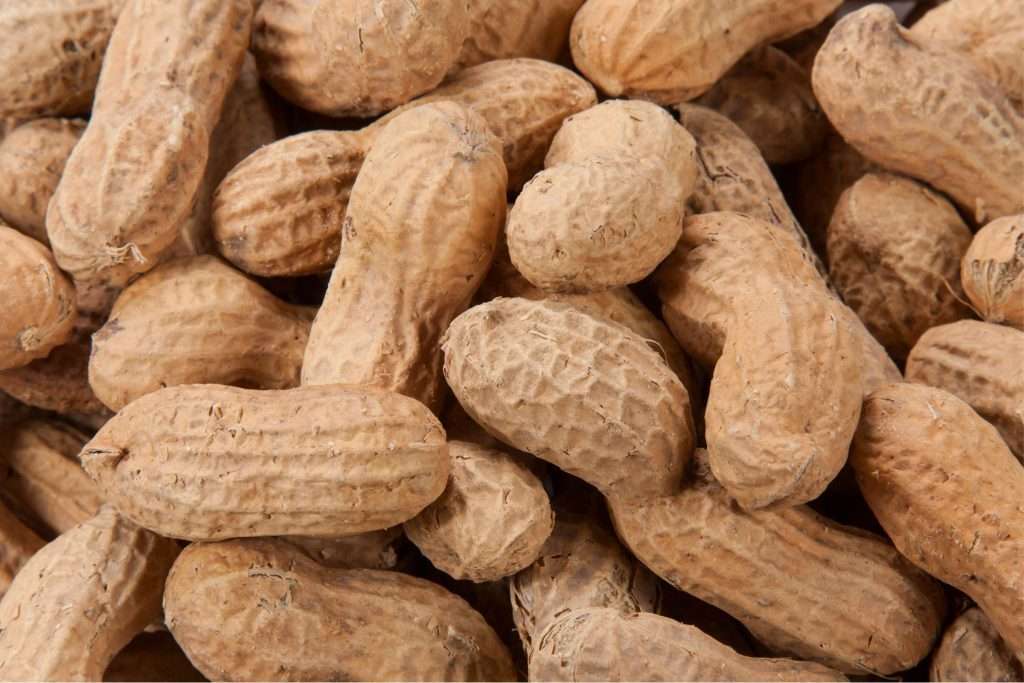 Peanut Butter Allergy: What You Need to Know