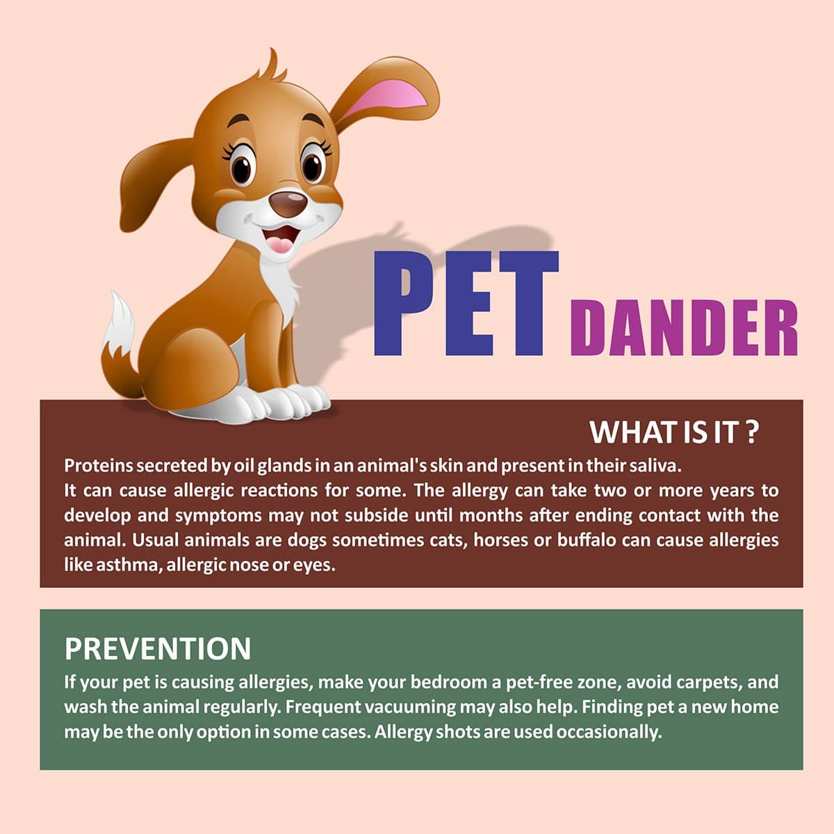 Pets can be a major source of allergy in children. Lets understand how ...