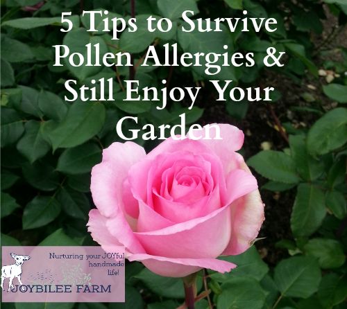 Pollen Allergies and Gardening: How to Survive