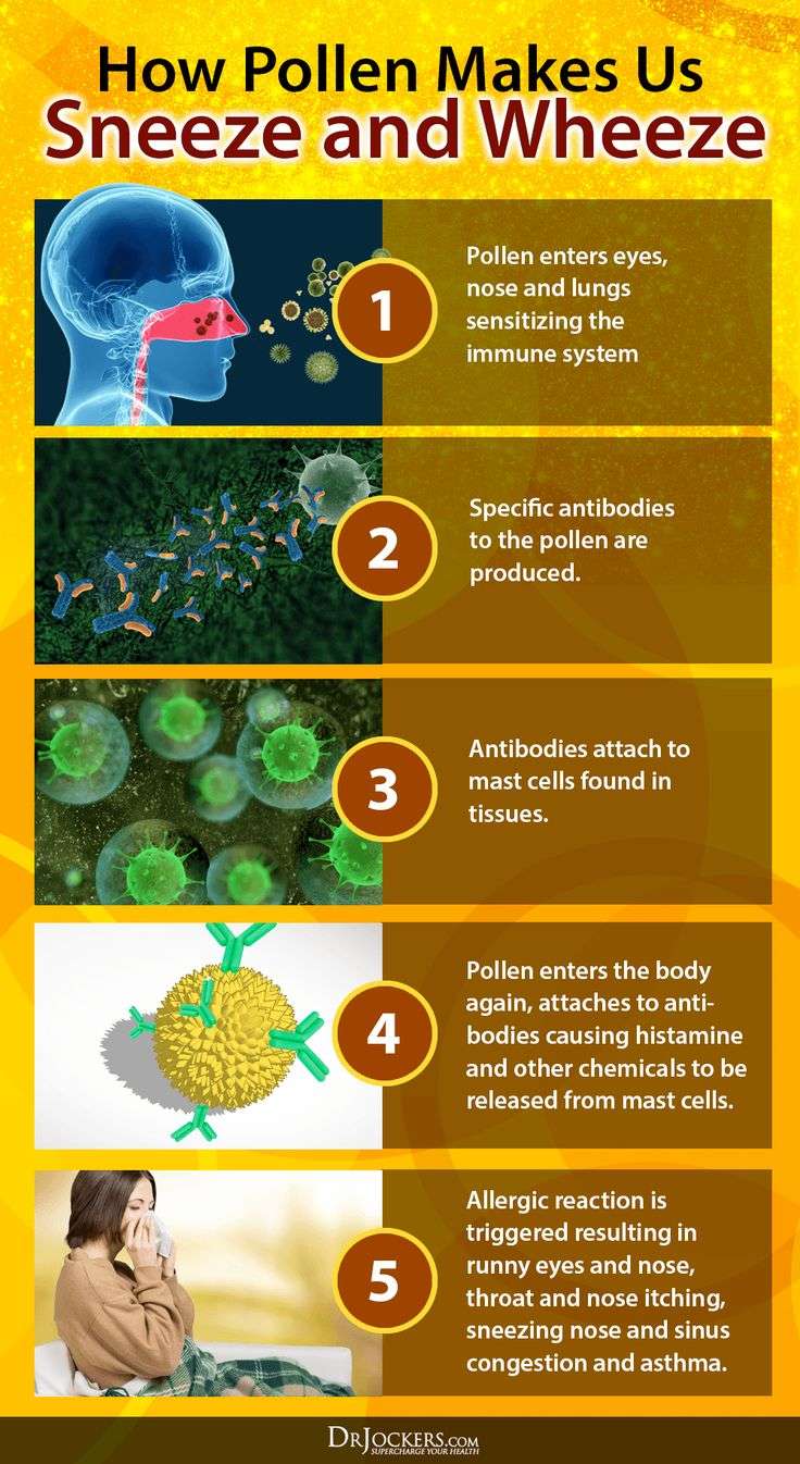 Pollen Allergies: Symptoms &  Natural Support Strategies