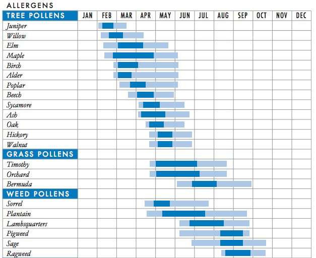Pollen season 2019: why allergies get worse every year