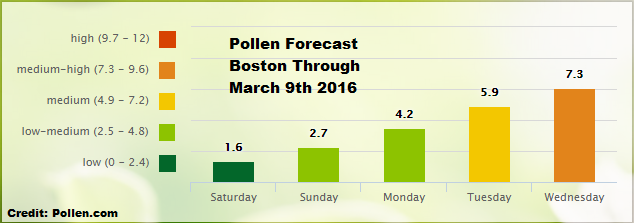 Pollen season to begin as warm temperatures return this ...