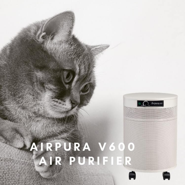 Prevent Pet Allergies &  Improve Indoor Air Quality With The Airpura Air ...