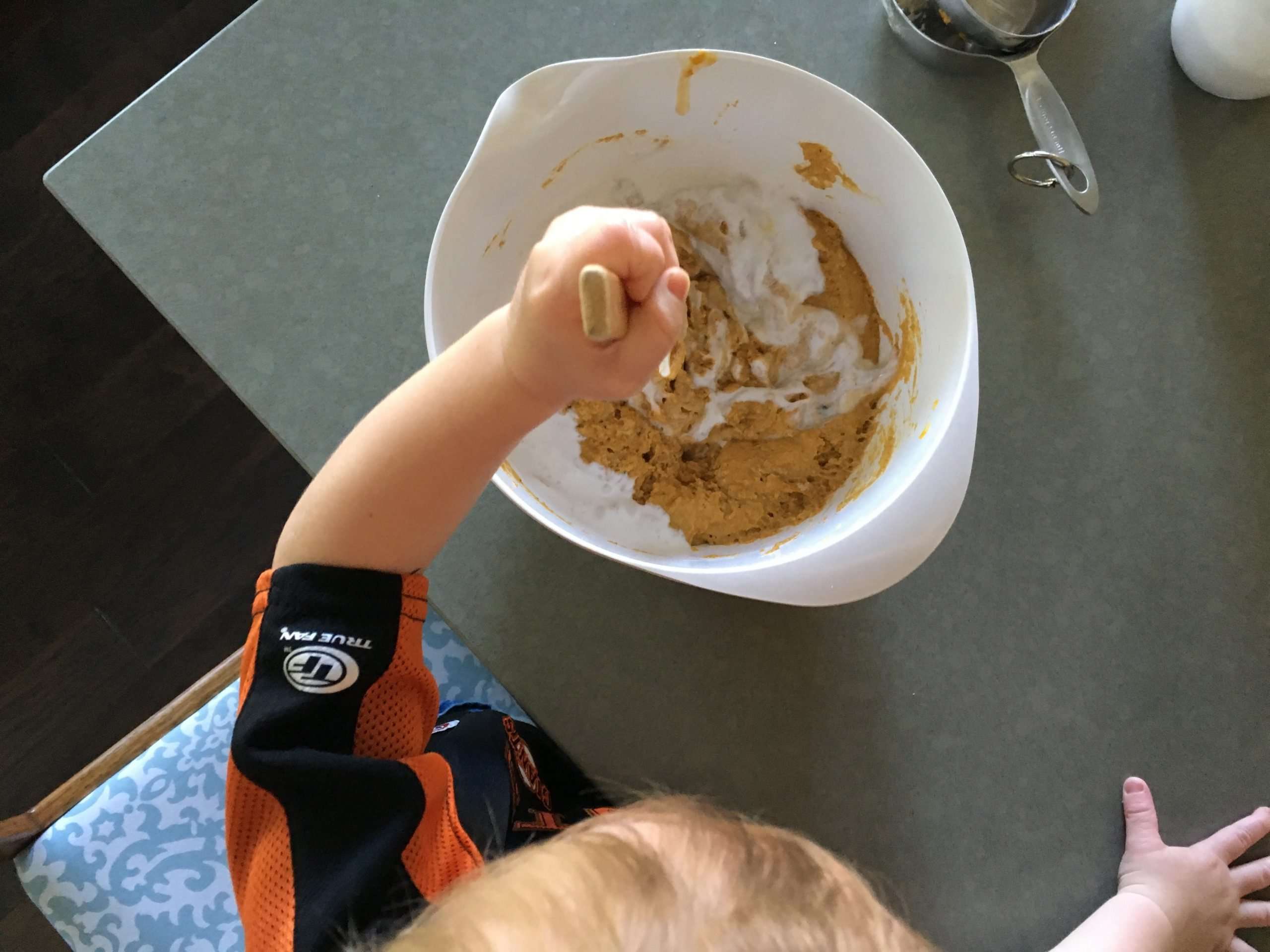 Pumpkin muffins &  and allergy update  Hungry Hungry Hippie