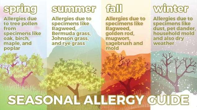 Seasonal Allergy Guide