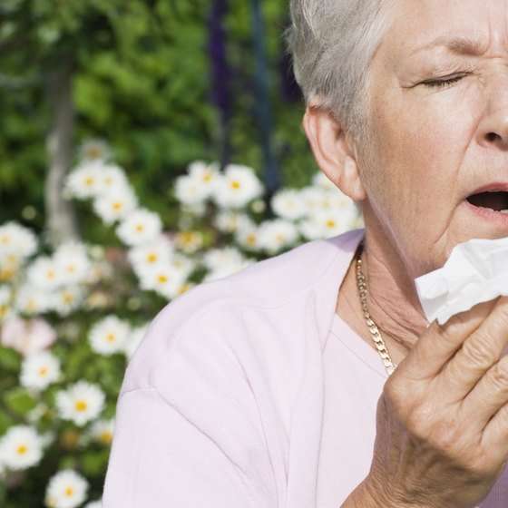 Seasonal Allergy Symptoms