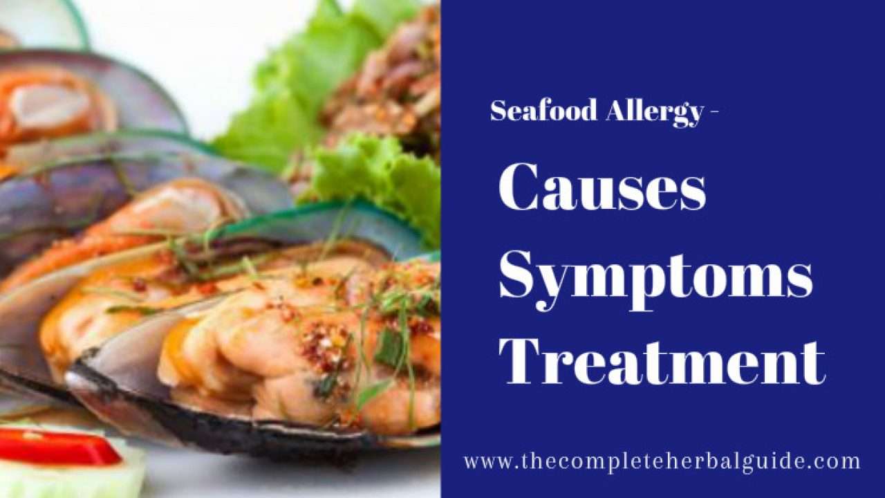 Shrimp And Iodine Allergy