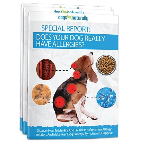 Skin Allergies For Dogs Natural Remedies