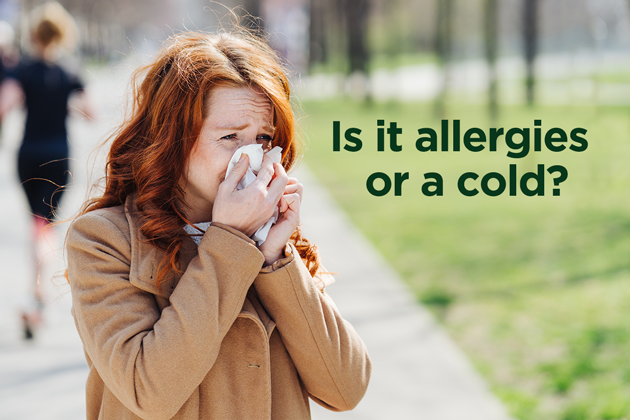 Sneezing and Sniffling: How to Tell If It